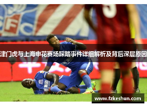 津门虎与上海申花赛场踩踏事件详细解析及背后深层原因